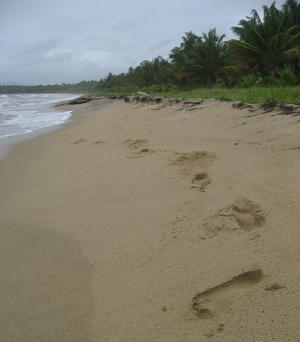 Walk to this beach, just 6 houses away!